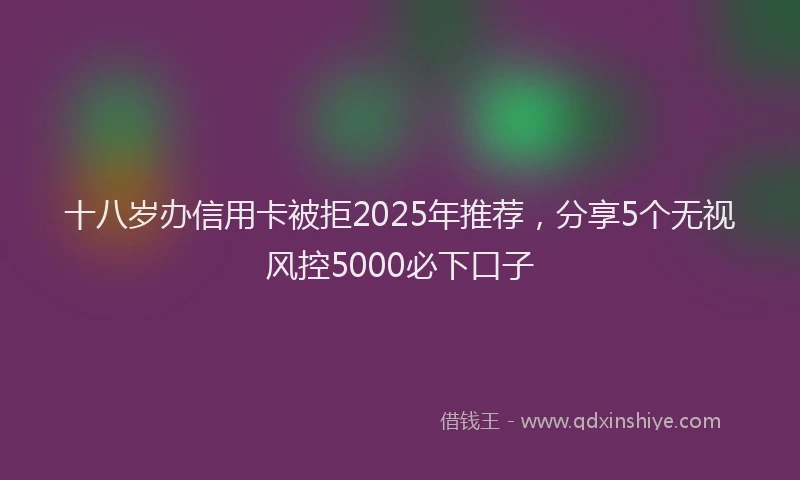 十八岁办信用卡被拒2025年推荐，分享5个无视风控5000必下口子