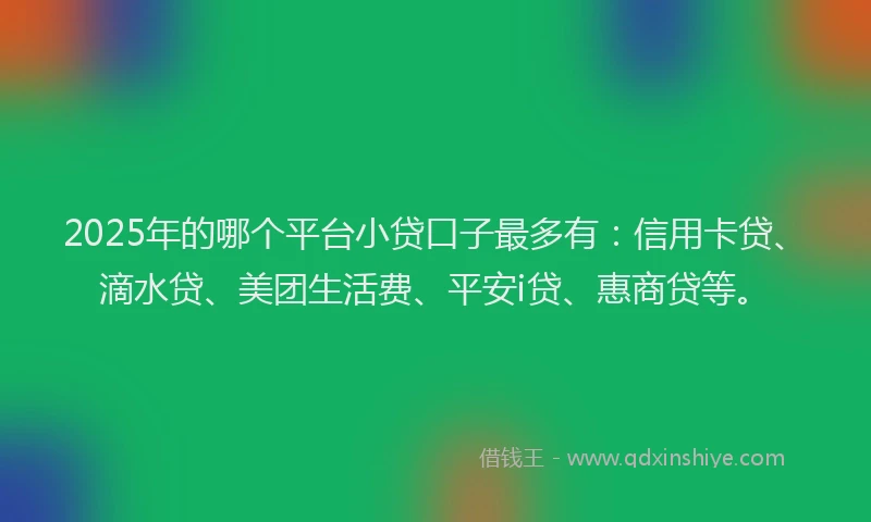 2025年的哪个平台小贷口子最多有：信用卡贷、滴水贷、美团生活费、平安i贷、惠商贷等。