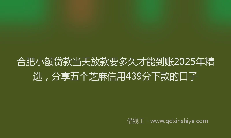 合肥小额贷款当天放款要多久才能到账2025年精选，分享五个芝麻信用439分下款的口子