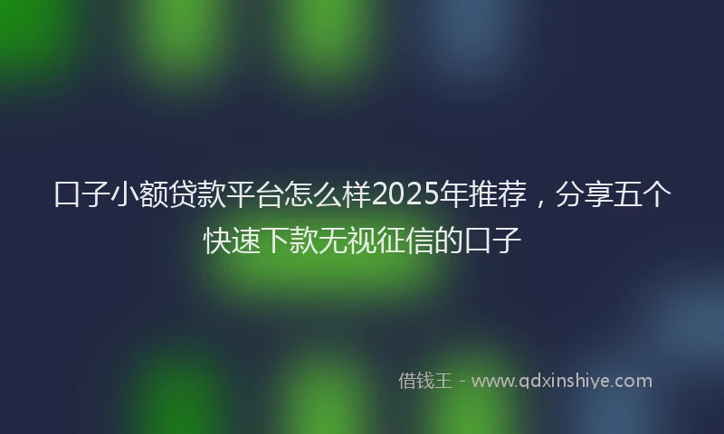 口子小额贷款平台怎么样2025年推荐，分享五个快速下款无视征信的口子