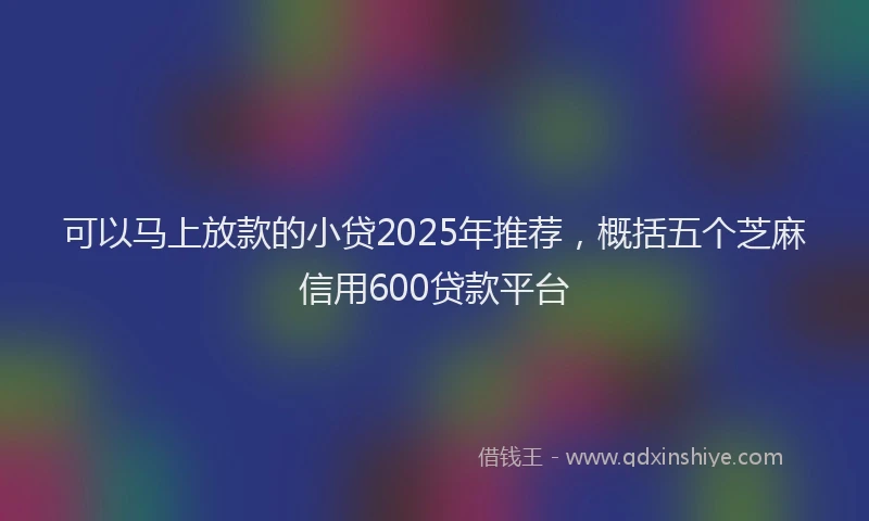 可以马上放款的小贷2025年推荐，概括五个芝麻信用600贷款平台