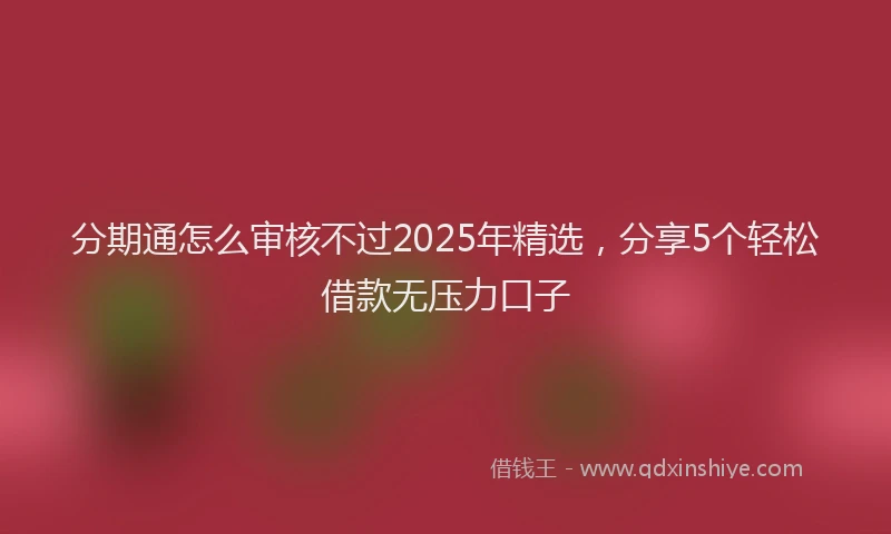分期通怎么审核不过2025年精选，分享5个轻松借款无压力口子
