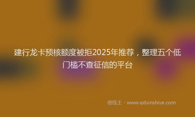 建行龙卡预核额度被拒2025年推荐，整理五个低门槛不查征信的平台