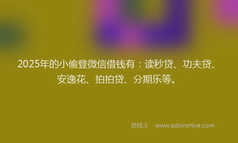 2025年的小偷登微信借钱有：读秒贷、功夫贷、安逸花、拍拍贷、分期乐等。