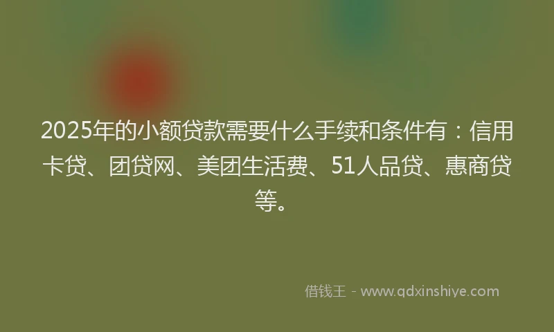2025年的小额贷款需要什么手续和条件有：信用卡贷、团贷网、美团生活费、51人品贷、惠商贷等。