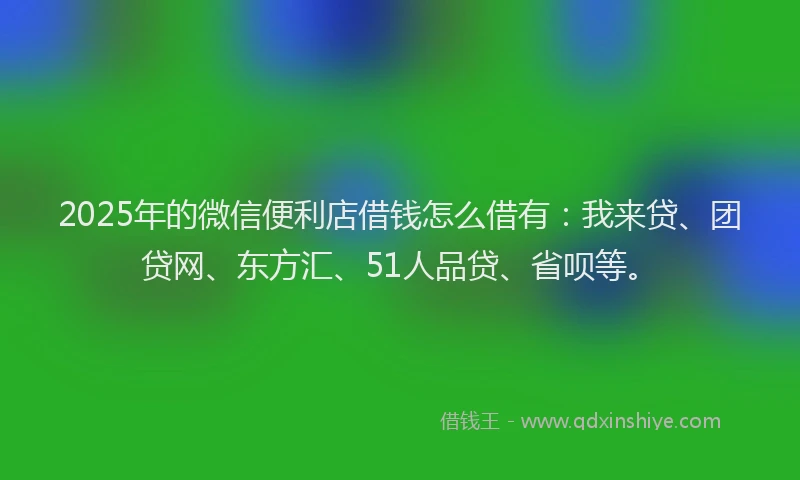 2025年的微信便利店借钱怎么借有：我来贷、团贷网、东方汇、51人品贷、省呗等。