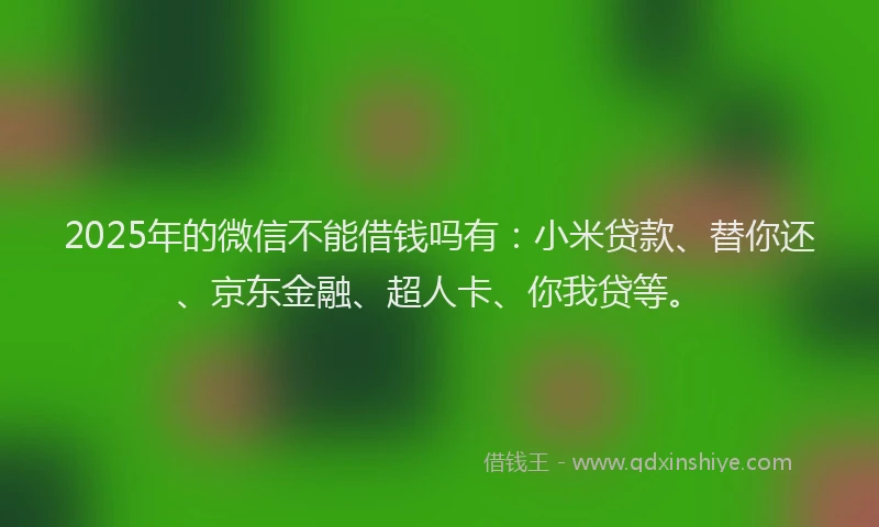2025年的微信不能借钱吗有：小米贷款、替你还、京东金融、超人卡、你我贷等。