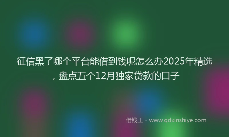 征信黑了哪个平台能借到钱呢怎么办2025年精选，盘点五个12月独家贷款的口子