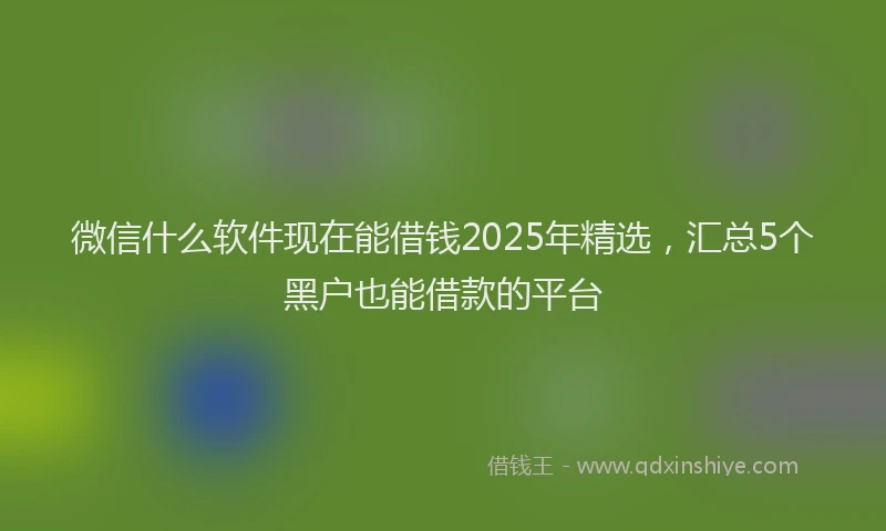 微信什么软件现在能借钱2025年精选，汇总5个黑户也能借款的平台