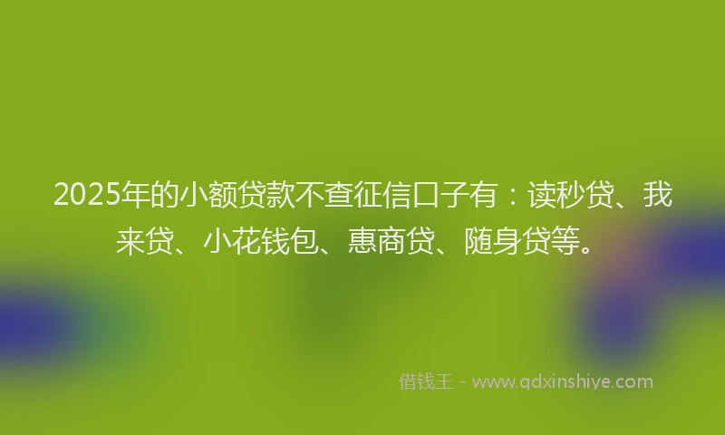 2025年的小额贷款不查征信口子有：读秒贷、我来贷、小花钱包、惠商贷、随身贷等。