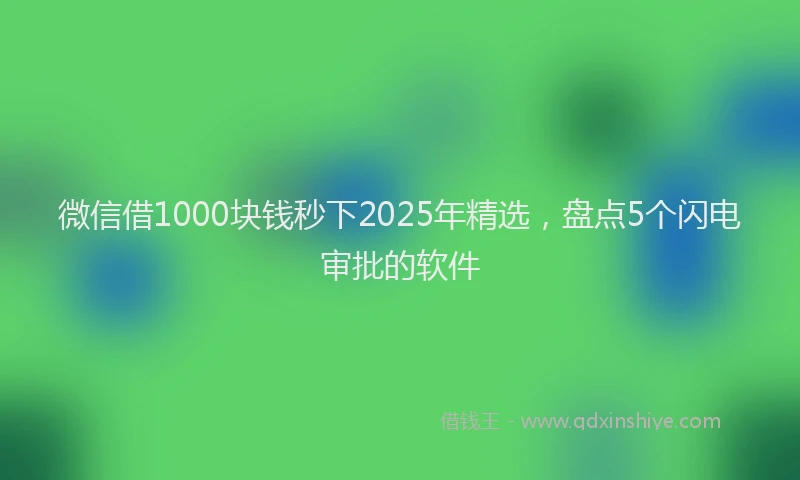 微信借1000块钱秒下2025年精选，盘点5个闪电审批的软件