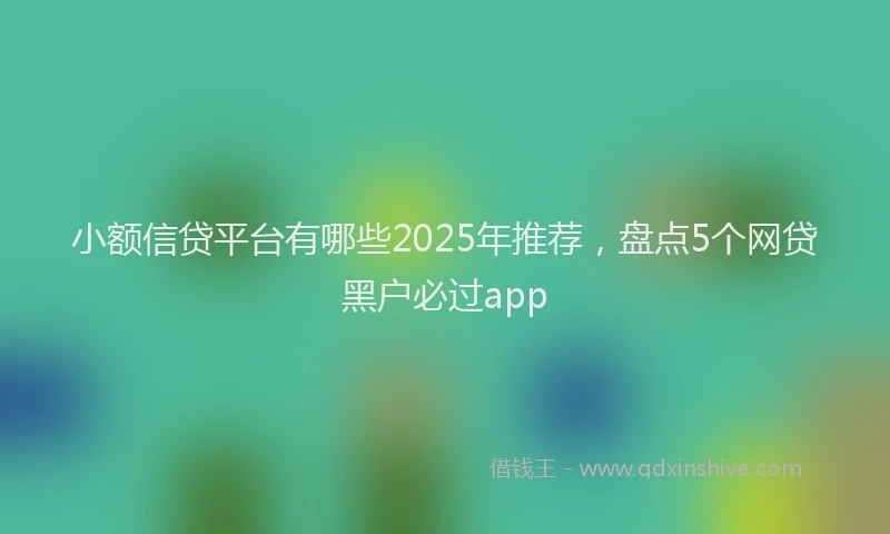 小额信贷平台有哪些2025年推荐，盘点5个网贷黑户必过app