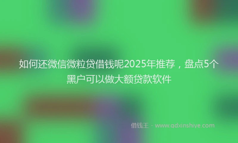 如何还微信微粒贷借钱呢2025年推荐，盘点5个黑户可以做大额贷款软件