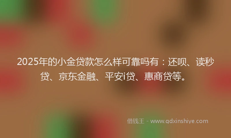 2025年的小金贷款怎么样可靠吗有：还呗、读秒贷、京东金融、平安i贷、惠商贷等。