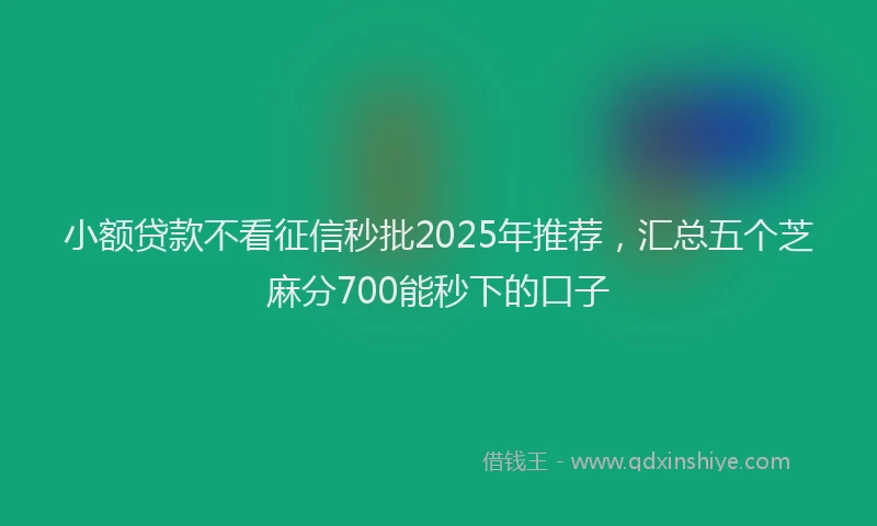小额贷款不看征信秒批2025年推荐，汇总五个芝麻分700能秒下的口子