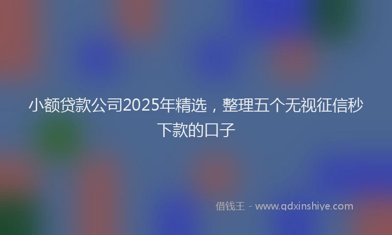 小额贷款公司2025年精选，整理五个无视征信秒下款的口子