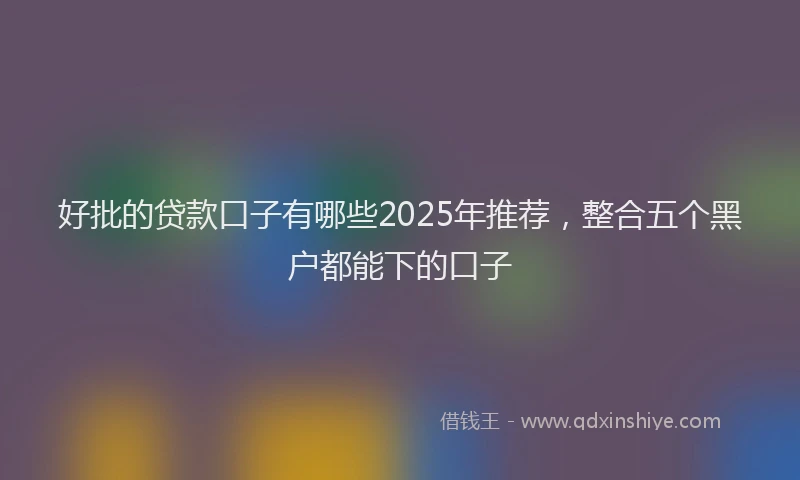 好批的贷款口子有哪些2025年推荐，整合五个黑户都能下的口子