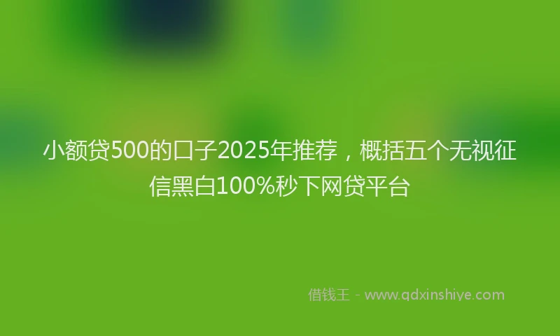 小额贷500的口子2025年推荐，概括五个无视征信黑白100%秒下网贷平台