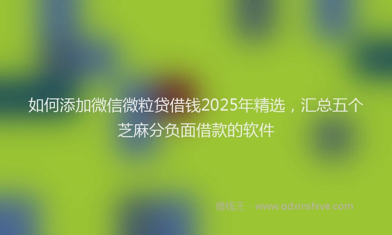 如何添加微信微粒贷借钱2025年精选，汇总五个芝麻分负面借款的软件