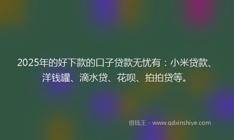 2025年的好下款的口子贷款无忧有：小米贷款、洋钱罐、滴水贷、花呗、拍拍贷等。
