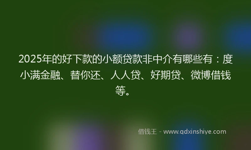2025年的好下款的小额贷款非中介有哪些有：度小满金融、替你还、人人贷、好期贷、微博借钱等。