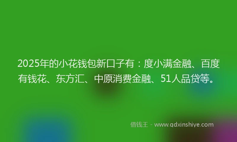 2025年的小花钱包新口子有：度小满金融、百度有钱花、东方汇、中原消费金融、51人品贷等。
