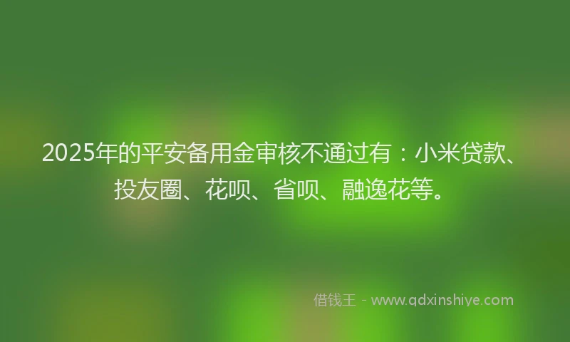 2025年的平安备用金审核不通过有：小米贷款、投友圈、花呗、省呗、融逸花等。