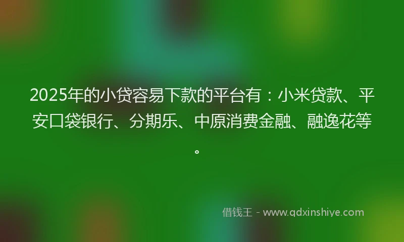 2025年的小贷容易下款的平台有：小米贷款、平安口袋银行、分期乐、中原消费金融、融逸花等。
