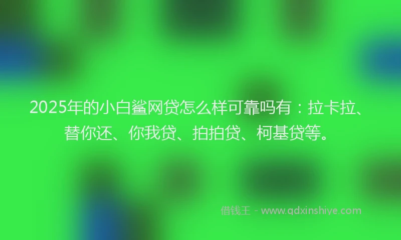 2025年的小白鲨网贷怎么样可靠吗有：拉卡拉、替你还、你我贷、拍拍贷、柯基贷等。