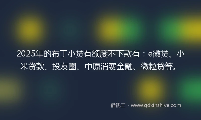 2025年的布丁小贷有额度不下款有：e微贷、小米贷款、投友圈、中原消费金融、微粒贷等。