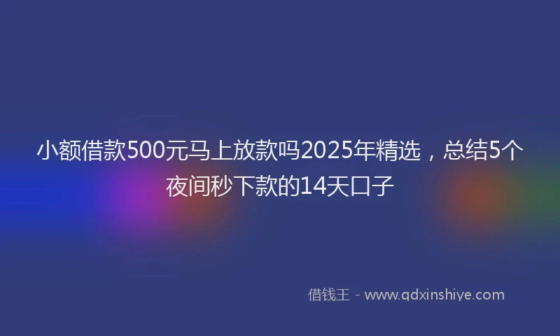 小额借款500元马上放款吗2025年精选，总结5个夜间秒下款的14天口子