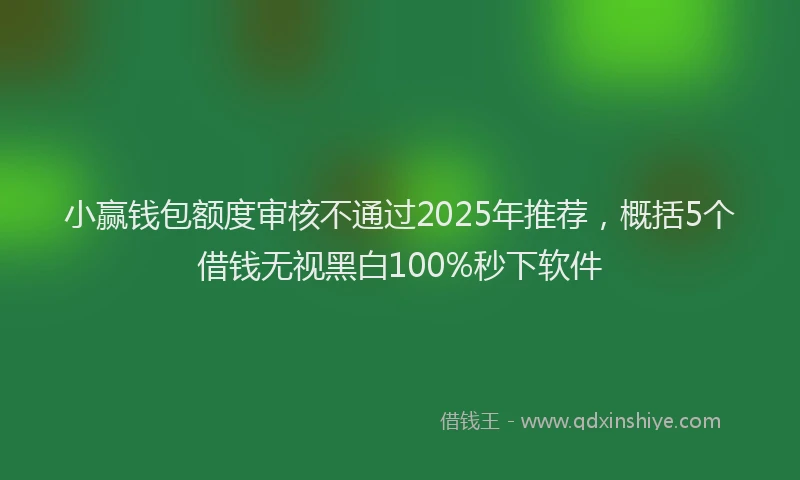 小赢钱包额度审核不通过2025年推荐，概括5个借钱无视黑白100%秒下软件