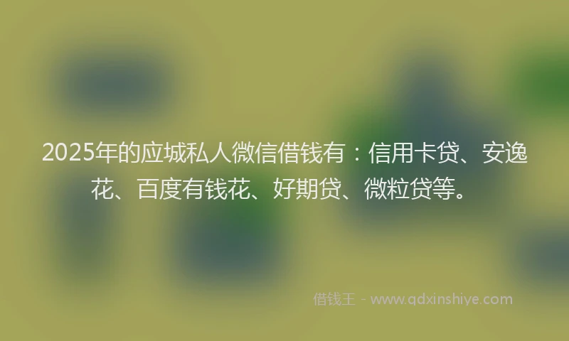 2025年的应城私人微信借钱有：信用卡贷、安逸花、百度有钱花、好期贷、微粒贷等。