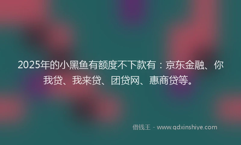 2025年的小黑鱼有额度不下款有：京东金融、你我贷、我来贷、团贷网、惠商贷等。