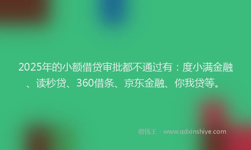 2025年的小额借贷审批都不通过有：度小满金融、读秒贷、360借条、京东金融、你我贷等。