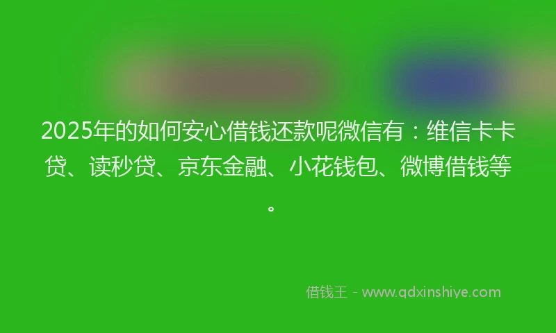 2025年的如何安心借钱还款呢微信有：维信卡卡贷、读秒贷、京东金融、小花钱包、微博借钱等。