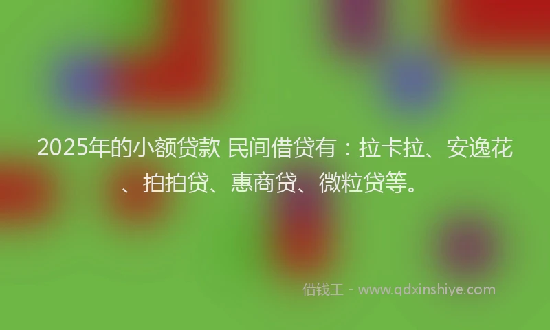 2025年的小额贷款 民间借贷有：拉卡拉、安逸花、拍拍贷、惠商贷、微粒贷等。