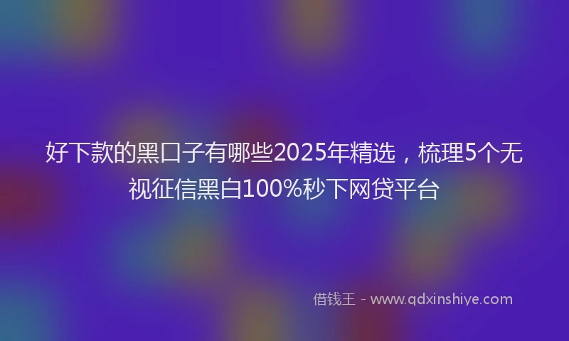 好下款的黑口子有哪些2025年精选，梳理5个无视征信黑白100%秒下网贷平台