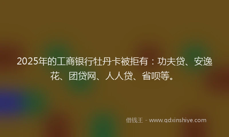2025年的工商银行牡丹卡被拒有：功夫贷、安逸花、团贷网、人人贷、省呗等。