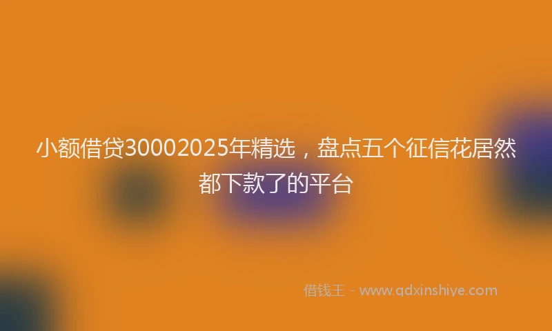 小额借贷30002025年精选，盘点五个征信花居然都下款了的平台
