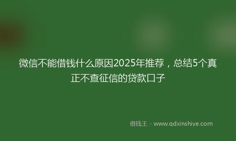 微信不能借钱什么原因2025年推荐，总结5个真正不查征信的贷款口子