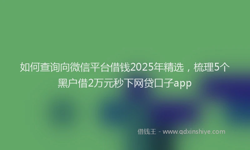 如何查询向微信平台借钱2025年精选，梳理5个黑户借2万元秒下网贷口子app