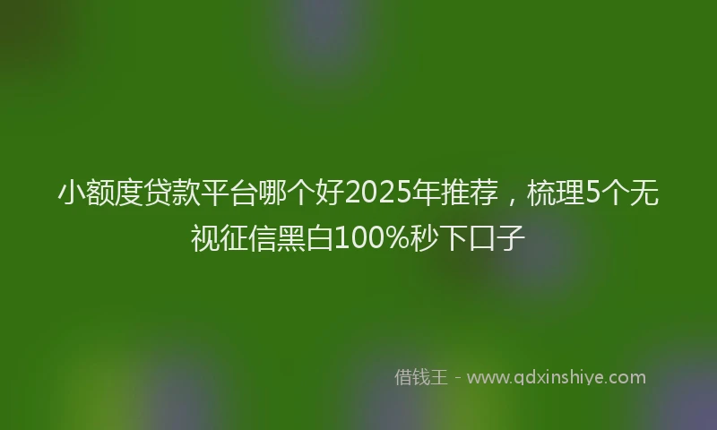 小额度贷款平台哪个好2025年推荐，梳理5个无视征信黑白100%秒下口子