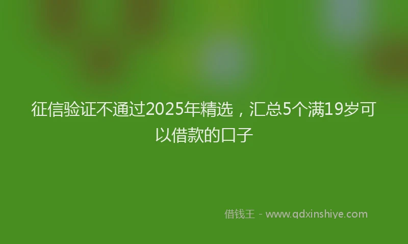 征信验证不通过2025年精选，汇总5个满19岁可以借款的口子