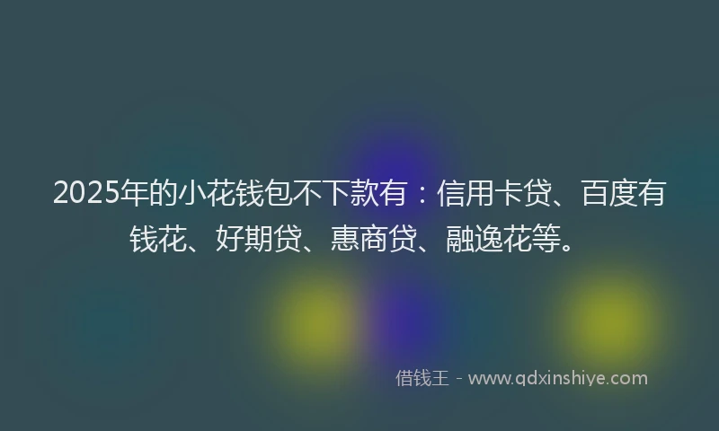 2025年的小花钱包不下款有：信用卡贷、百度有钱花、好期贷、惠商贷、融逸花等。