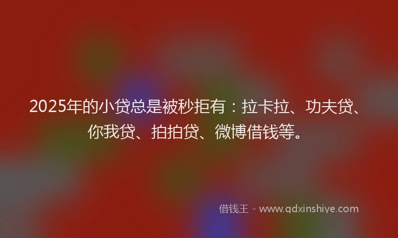 2025年的小贷总是被秒拒有：拉卡拉、功夫贷、你我贷、拍拍贷、微博借钱等。