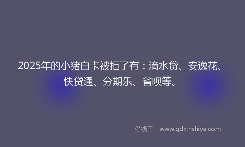 2025年的小猪白卡被拒了有：滴水贷、安逸花、快贷通、分期乐、省呗等。