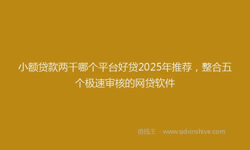 小额贷款两千哪个平台好贷2025年推荐，整合五个极速审核的网贷软件