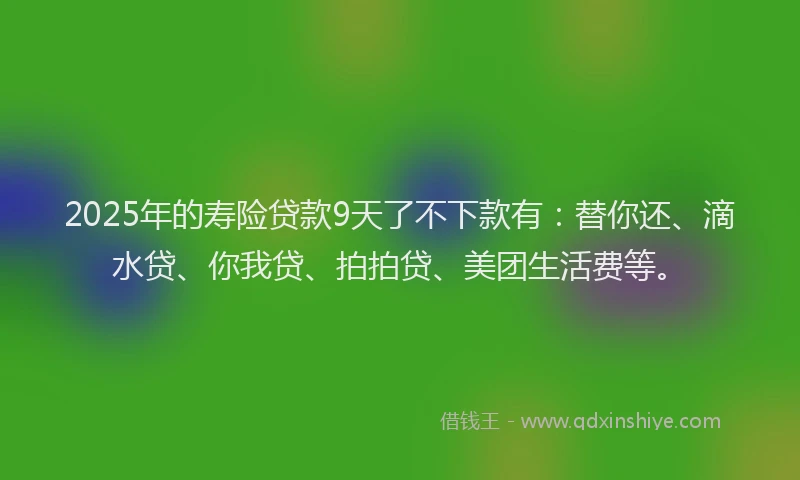 2025年的寿险贷款9天了不下款有：替你还、滴水贷、你我贷、拍拍贷、美团生活费等。