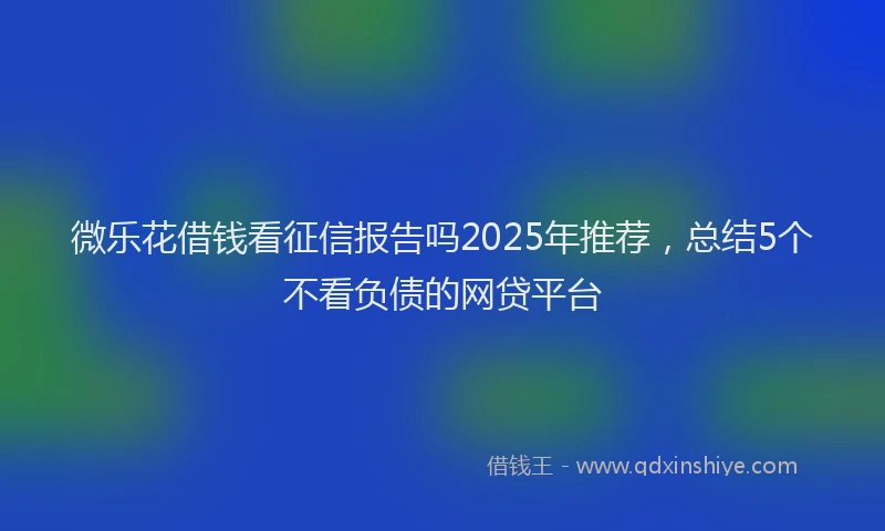 微乐花借钱看征信报告吗2025年推荐，总结5个不看负债的网贷平台